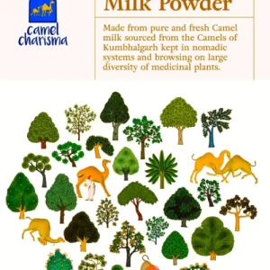 Camel Milk Powder