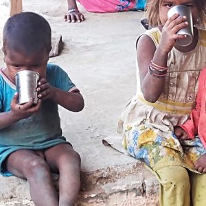 Camel Milk for Donation